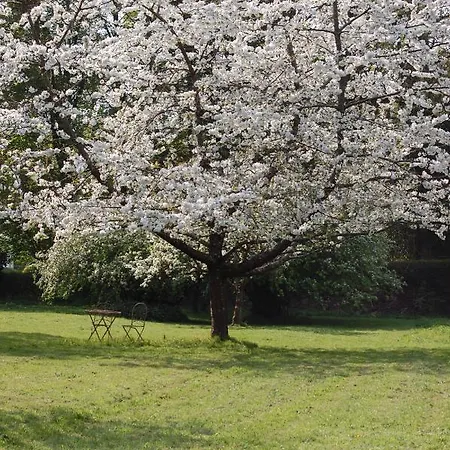 Dans Un Domaine Historique * שוברוז