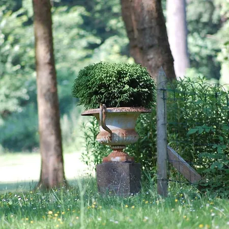 Dans Un Domaine Historique *